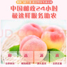 鳥哥家鄉(xiāng)新昌水蜜桃 新鮮桃子浙江新昌產(chǎn)地直發(fā) 12個(5兩以上)250g（桃王） 曬單實拍圖
