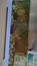 瘋狂水草（FKSC）真水草魚缸造景套餐凈化水質(zhì)懶人魚缸水草植物直接入缸蜈蚣草 【火山石】水草組合一3棵裝 曬單實拍圖