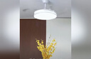 四季沐歌（MICOE）吊扇燈風(fēng)扇燈具客廳北歐餐廳臥室簡(jiǎn)約LED隱形吊扇燈現(xiàn)代包安裝 曬單實(shí)拍圖
