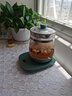 靜川氨甲環(huán)酸脂質(zhì)體凝膠光子冷凝膠改善色素沉著20ml 【靜川氨甲導(dǎo)光凝膠DC3】一盒 曬單實(shí)拍圖
