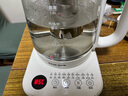 AUX奧克斯養(yǎng)生壺煮茶壺?zé)畨仉姛崴畨亻_水壺恒溫玻璃花茶壺暖奶器24H保溫1.8L家用辦公室小型【國家補貼】 奶白色【升級316不銹鋼+茶漏】 1.8L 曬單實拍圖