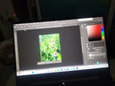 PS軟件正版新版2025遠(yuǎn)程安裝Photoshop cc2019  2023教程Mac/Win ps軟件2025 曬單實拍圖