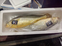 鴻順 冷凍野化黃花魚1200g/2條 禮盒  海鮮 寧德大黃魚 生鮮魚類 曬單實(shí)拍圖