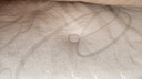 舒達(dá)（serta）乳膠床墊MIRA COIL連續(xù)彈簧支撐系統(tǒng)軟硬雙面25CM致眠床墊1.8x2米 曬單實(shí)拍圖