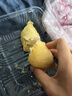 華美 雞蛋卷360g禮盒餅干休閑零食傳統(tǒng)點(diǎn)心送禮福利團(tuán)購 曬單實(shí)拍圖