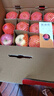 洛川蘋果（luochuanapple）【順豐】陜西延安紅富士蘋果洛川蘋果產(chǎn)地直發(fā)脆甜多汁能帶皮吃 18枚95mm 特大果 甄選 鐵粉必選 曬單實(shí)拍圖