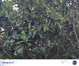 UNIKOO 【雙臺(tái)裝】對(duì)講機(jī) 遠(yuǎn)距離工地辦公酒店安保餐飲戶外專業(yè)大功率優(yōu)力克對(duì)講機(jī)兒童迷你民用商用手臺(tái) MAX4.0 plus強(qiáng)化版【雙臺(tái)裝】待機(jī)12天 曬單實(shí)拍圖