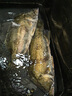 老鬼（OLDGHOST）魚(yú)餌大福壽磷蝦肝味湖庫池塘黑坑野釣羅非魚(yú)賽級釣魚(yú)餌料魚(yú)食配方 【1包裝】大福壽磷蝦餌*400g 曬單實(shí)拍圖
