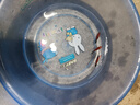百綸木千米奇魚觀賞魚 胎生魚 新手推薦 好養(yǎng)活 小型魚  運(yùn)輸包損包郵 大米奇5條（3cm左右）公母混搭 曬單實(shí)拍圖
