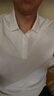 羅蒙（ROMON）夏季t恤上衣男士百搭polo衫透氣速干翻領修身純色商務戶外半袖 白色 3XL 體重165-180斤 曬單實拍圖