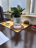 墨一金鉆盆栽 花卉植物室內(nèi)綠植辦公室綠植早安盆美觀室內(nèi) 源頭直發(fā) 曬單實拍圖