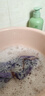 范泳辰內(nèi)衣內(nèi)褲專用洗衣液清洗液手洗殺菌除菌除螨消毒去血漬男女士?jī)和?曬單實(shí)拍圖