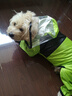 SLPC狗狗雨衣全包四腳柴犬中型犬防水雨披泰迪博美雪納瑞小狗雨衣 蘋(píng)果綠 2XL（適合約16到24斤） 曬單實(shí)拍圖