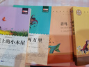 四年級閱讀課外書必讀上下冊全套 媽媽走了青鳥書總有一天會長大草原上的小木屋秘密花園綠山墻的安妮昆蟲記適合小學(xué)生讀的書籍書目讀物 【全9冊】四年級閱讀書目 曬單實拍圖