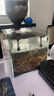 森森（SUNSUN）魚(yú)缸過(guò)濾器循環(huán)水泵三合一抽水泵水族箱過(guò)濾制氧 底吸吸便】15W增氧流量可調 適合0.6-0.8缸 曬單實(shí)拍圖