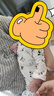 貝瑞加（Babyprints）嬰兒連體衣2件裝新生寶寶蝴蝶衣長(zhǎng)袖護(hù)肚連身衣滿月服 綠熊貓59 曬單實(shí)拍圖