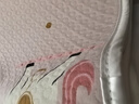 愛貝迪拉（AIBEDILA）姨媽墊學(xué)生宿舍生理期月經(jīng)墊防水隔尿墊可洗防漏例假小墊粉60*80 曬單實(shí)拍圖