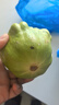 姜柄瓜云南農(nóng)家自種新鮮蔬菜姜柄瓜嫩南瓜小甜瓜 帶箱重 2斤 曬單實(shí)拍圖