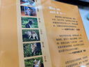 當當正版童書(shū) 中小學(xué)生7-10-11-14歲經(jīng)典兒童文學(xué)動(dòng)物小說(shuō)讀物合集 小學(xué)生一二三四五六年級兒童文學(xué)外閱讀書(shū)籍 讓我陪你重返狼群冰波童話(huà)王一梅 重返狼群（全套3冊） 曬單實(shí)拍圖