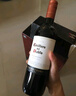 干露紅魔鬼Casillero del Diablo珍藏佳美娜干紅葡萄酒智利進(jìn)口紅酒750ml 珍藏佳美娜干紅1瓶 曬單實(shí)拍圖
