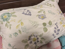 潔麗雅（Grace）纖維枕 星級酒店枕頭枕芯 46*72cm 一對裝（2只裝） 曬單實拍圖