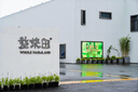 鑫友緣50斤深灰色黑色景觀礫石水洗石日式庭院花園造景青石子碎石子米石 【50斤裝】打磨黑礫石1.2-1.5cm 曬單實(shí)拍圖