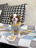 MIKI PAD寵物狗狗衣服小型犬可牽引外出背帶褲春夏幼犬衣服比熊泰迪雪納瑞 黃色小熊背帶褲 L背長35cm（參考體重9-13斤） 曬單實(shí)拍圖