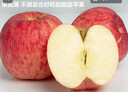 洛川蘋果陜西延安紅富士時(shí)令蘋果水果禮盒裝糖心蘋果生鮮脆甜整箱好吃新鮮 10斤鉑金果70-75mm（凈重8.5斤） 曬單實(shí)拍圖