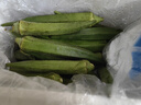 新鮮水果秋葵蔬菜新鮮現(xiàn)摘現(xiàn)發(fā)當季蔬菜生鮮涼拌好物減肥瘦身 現(xiàn)摘水果秋葵 500g 曬單實拍圖