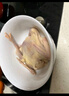 百味殿乳鴿新鮮宰殺正宗三年老鴿子保留心肝冷凍農(nóng)家散養(yǎng)滋補(bǔ)土鴿子湯 散養(yǎng)乳鴿凈400g*3只 曬單實(shí)拍圖
