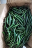 新鮮青小米椒特辣現(xiàn)摘農(nóng)家小朝天椒泡椒青色辣椒 5斤 曬單實(shí)拍圖
