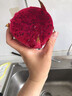 京尚果海南紅心火龍果蜜寶京都一號紅肉火龍果當季新鮮水果樹(shù)上熟 8斤禮盒裝 曬單實(shí)拍圖
