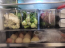 佳幫手冰箱收納盒保鮮盒食品級密封保鮮冷凍專用廚房水果蔬菜雞蛋儲物盒 曬單實拍圖