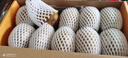 佳沛（zespri）【官方正品】新西蘭陽光金奇異果黃心獼猴桃孕婦寶寶輔食送禮水果 果王10枚禮盒【單果146-175g】 曬單實拍圖