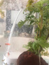 boxtech納米氣盤低壓氣盤石氧氣泵氣餅氣盤增氧機(jī)氣泡石氧氣頭沙頭砂盤石 C50氣盤（適合魚缸20-80cm）-無氧氣泵 曬單實(shí)拍圖