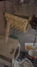 曇蓓漫鸚鵡鳥窩吊床懸掛涼席窩鸚鵡軟床掛窩睡覺窩玄鳳虎皮寵物用品玩具 鸚鵡吊床【雙層黃色小號】 曬單實拍圖