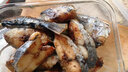青島大鲅魚新鮮冷凍無冰馬鮫魚燕鲅魚海鮮水產海魚生鮮5斤順豐 5斤【5-6條】8兩-1斤/條 曬單實拍圖