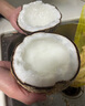 正宗即食糯米椰網(wǎng)紅新鮮水果【糯米椰子】新鮮水果名馬卡普諾整箱 【大果1.3斤-1.6斤】一個糯米椰 曬單實拍圖