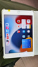 Apple 蘋果 iPad Mini 2/3/4/5/6/7代 2022/2021款 二手平板電腦 iPad mini4 曬單實(shí)拍圖