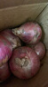 京鮮生 河南紫皮洋蔥帶皮 凈重5斤 單果300g+ 新鮮蔬菜源頭直發(fā) 曬單實(shí)拍圖