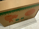 比克熊 苜蓿草1kg兔糧兔子草料烘干紫花幼兔牧草豚鼠磨牙飼料糧草毛重 曬單實(shí)拍圖