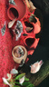 迷你鸚鵡魚飼料小型魚專用魚食小顆粒熱帶魚觀賞鸚鵡魚開口糧微粒 迷你鸚鵡高蛋白魚糧 0.6mm 150g 曬單實(shí)拍圖