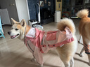 琴飛曼雨衣狗狗雨衣大狗中大型犬金毛薩摩耶阿拉斯加全包雨衣連帽珊瑚粉4XL 曬單實(shí)拍圖