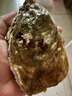 貝司令（BEISILING）【源頭直發(fā)】鮮活乳山生蠔牡蠣貝類聚會(huì)燒烤5XL凈重5斤 海鮮水產(chǎn) 曬單實(shí)拍圖