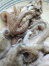 森農(nóng)樂舟山八爪魚生鮮小章魚大號鮮活整只冷凍新鮮大爆頭海鮮水產(chǎn)軟足 1斤(凈重)  【當(dāng)季新捕野生】 曬單實拍圖