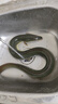 劉志強青云鯤K5超輕量大物魚竿手竿超輕超硬高碳臺釣竿 7.2m 送竿稍+纏把帶 曬單實拍圖