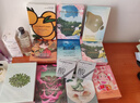 FAN BEAUTY DIARY范冰冰同款面膜片裝組合 海葡萄龍血補水修護 【3片裝】海葡萄+龍血+睡美人 曬單實拍圖