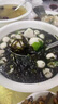 南澳頭水紫菜特級潮汕野生紫菜煮湯特產(chǎn)火鍋食材紫菜餅免洗無沙天 南澳頭水紫菜100g 南澳產(chǎn)地直發(fā) 曬單實拍圖