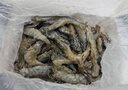 鮮馳蝦 國(guó)產(chǎn)青島大蝦 青蝦白蝦海蝦基圍蝦冷凍生鮮 蝦類(lèi) 海鮮水產(chǎn) 氣凍大蝦 3斤(凈重)  15-18cm【單只凍 特大蝦】 曬單實(shí)拍圖