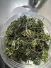 人參花茶大花蕾新鮮曬干貨正品泡水東北人參花茶1斤 長(zhǎng)白山人參花 250.g 曬單實(shí)拍圖